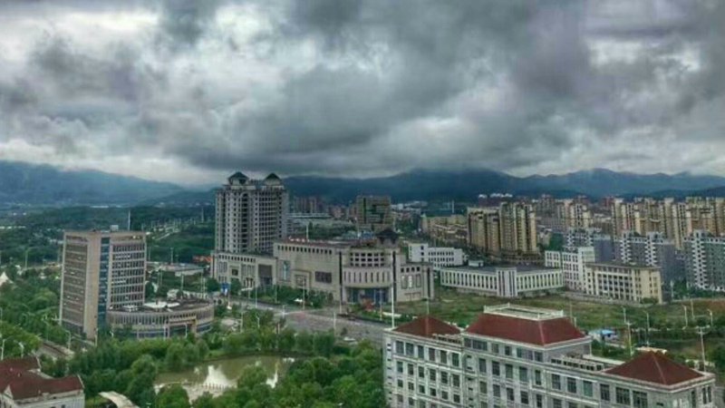 本地批发:选择与比较